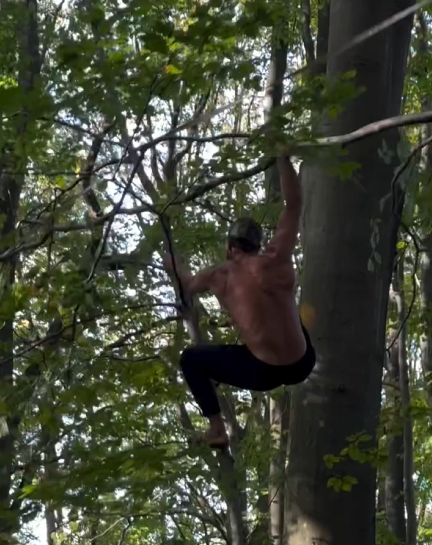 man-ape